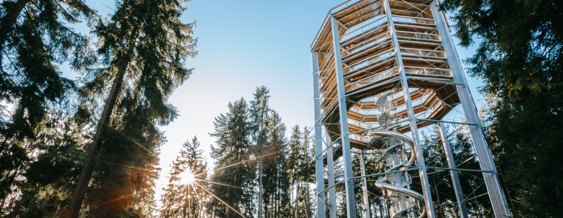 Stezka korunami stromů Lipno