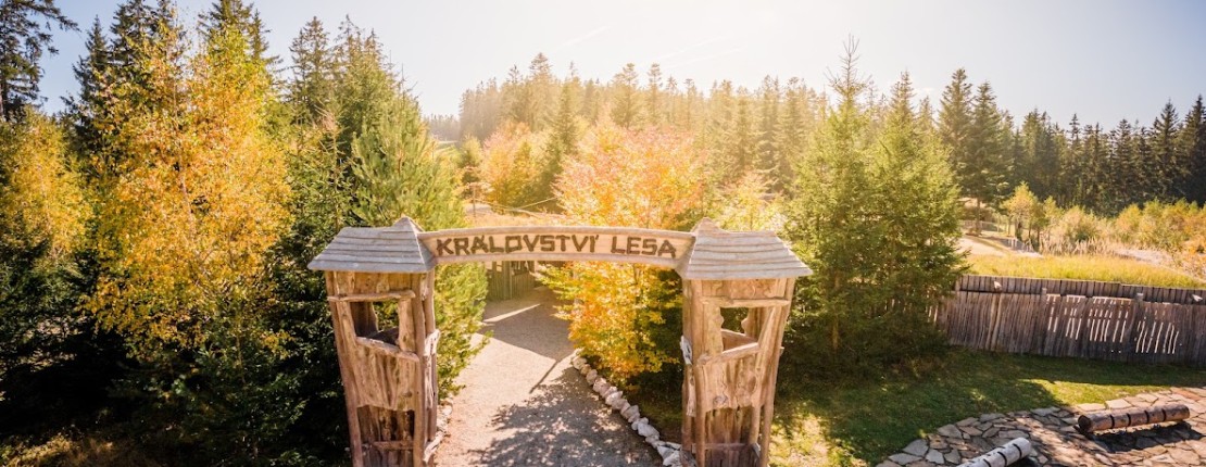 Stezka korunami stromů a Království lesa